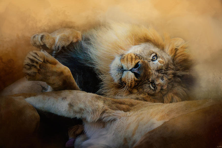 Cat Photograph - Lion Love 2 by Jai Johnson