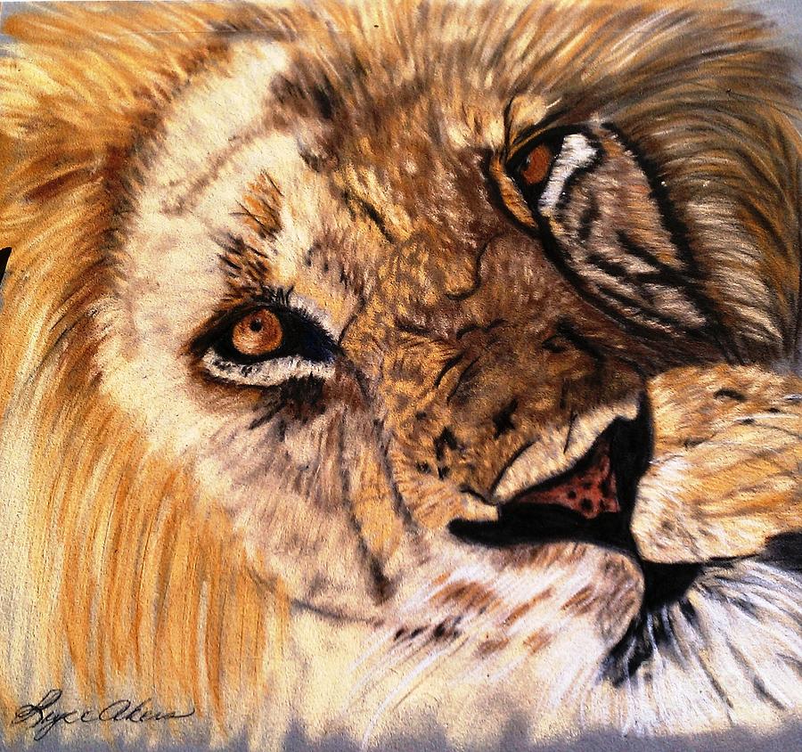 Lion Pastel by Loyce Akers | Fine Art America