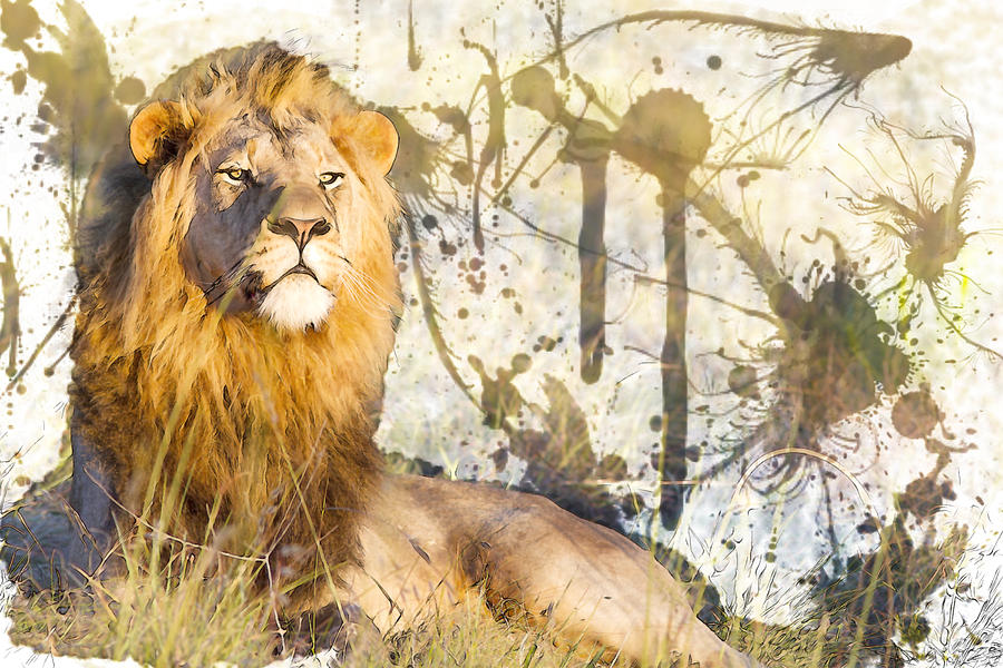 Lion male Painting by William Mace