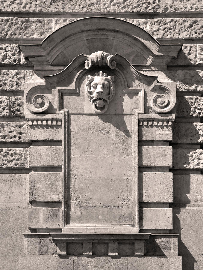 Lion Medallion Budapest Relief by James Dougherty Lion Medallion Budapest Relief by James Dougherty