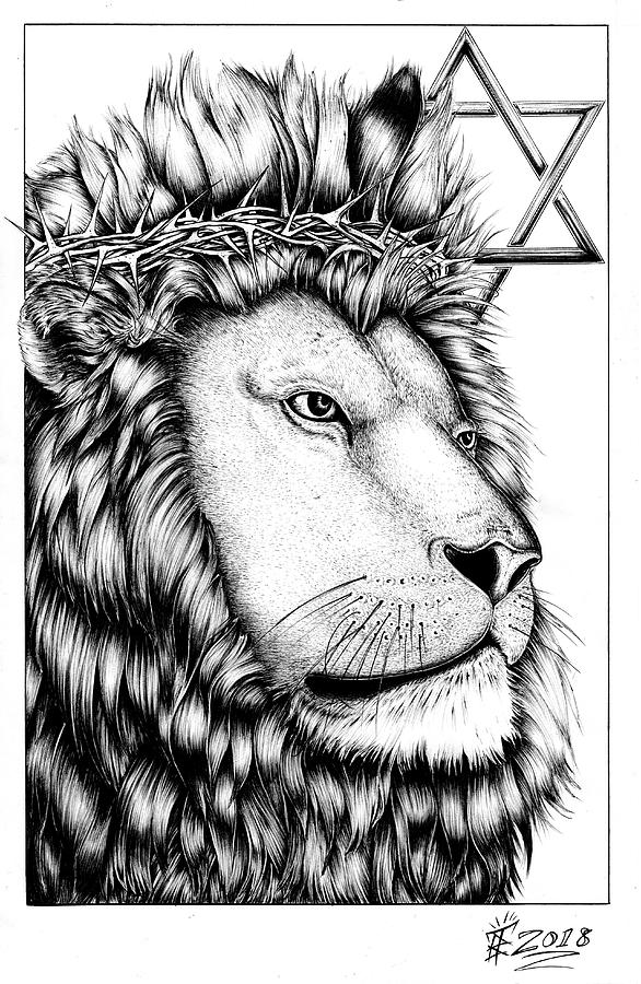 Lion of the Tribe of Judah Drawing by T Bird