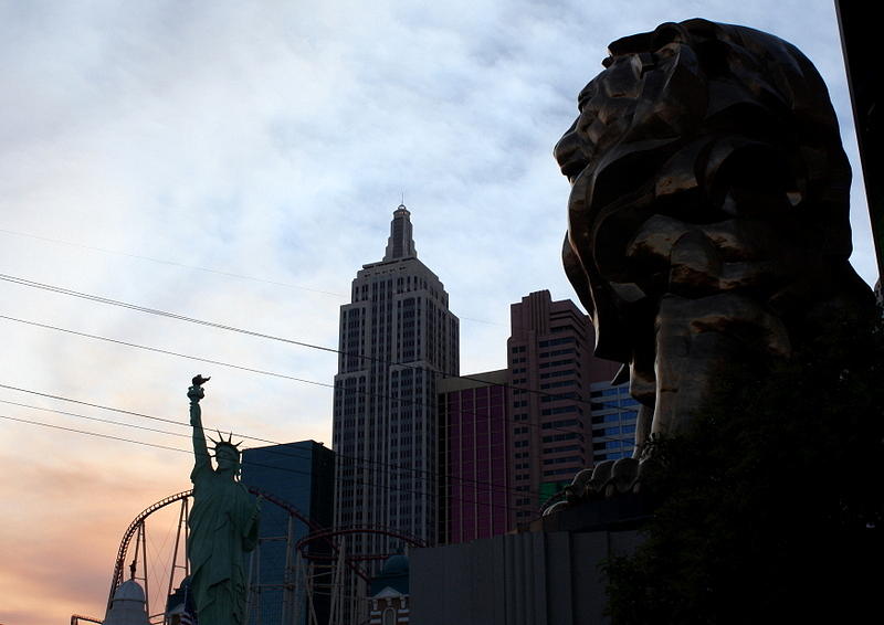 Lion Of Vegas Photograph by David Nicholls