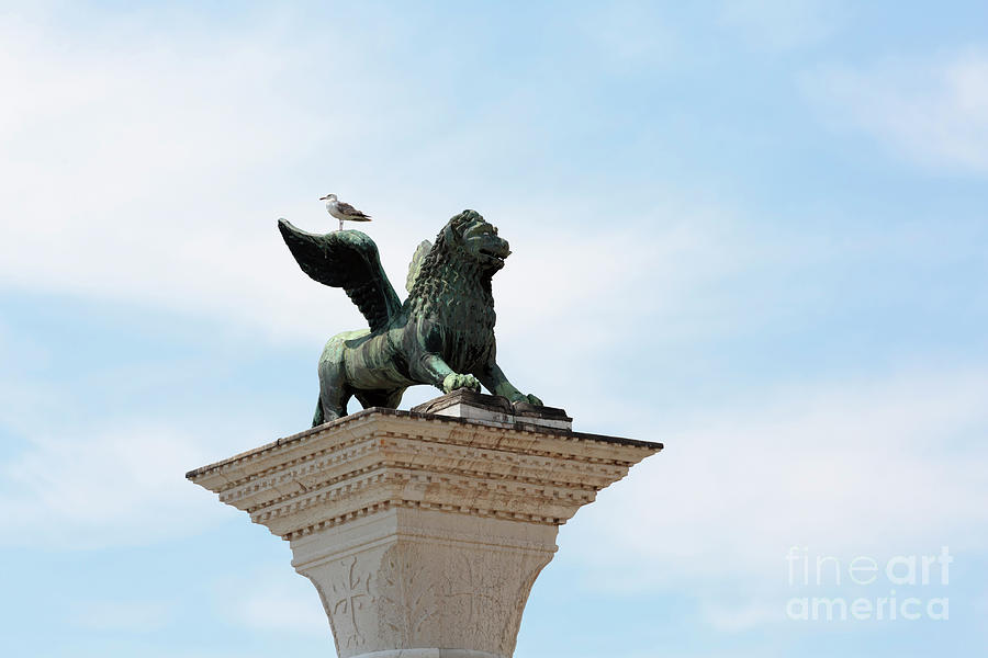 Lion of Venice above the Piazza San Marco Italy Photograph by Louise Heusinkveld