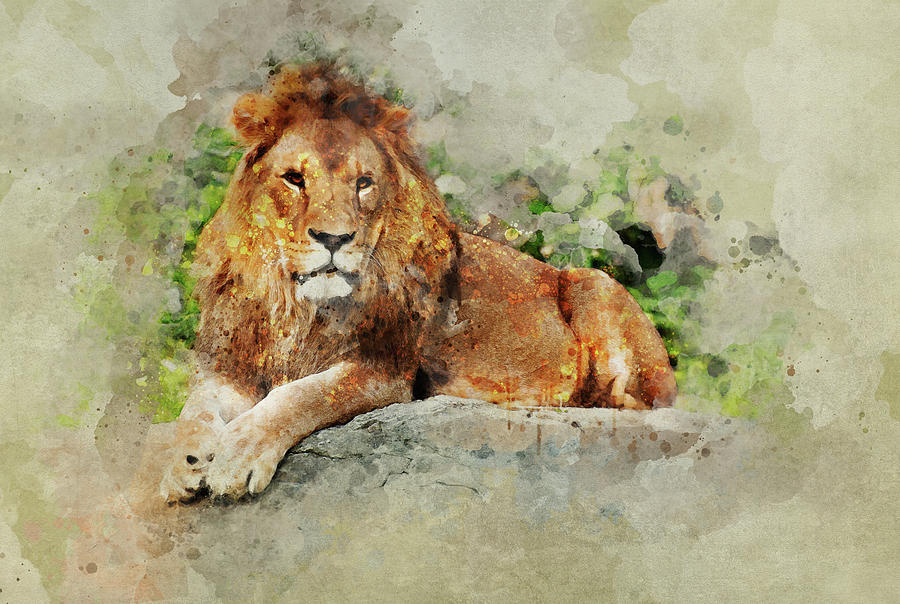 Lion on the rocks Painting by Jaroslaw Blaminsky