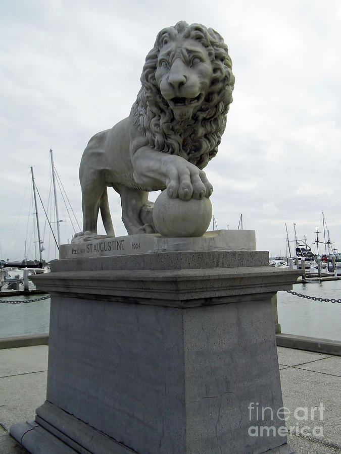 Lion On The South Side Photograph by D Hackett