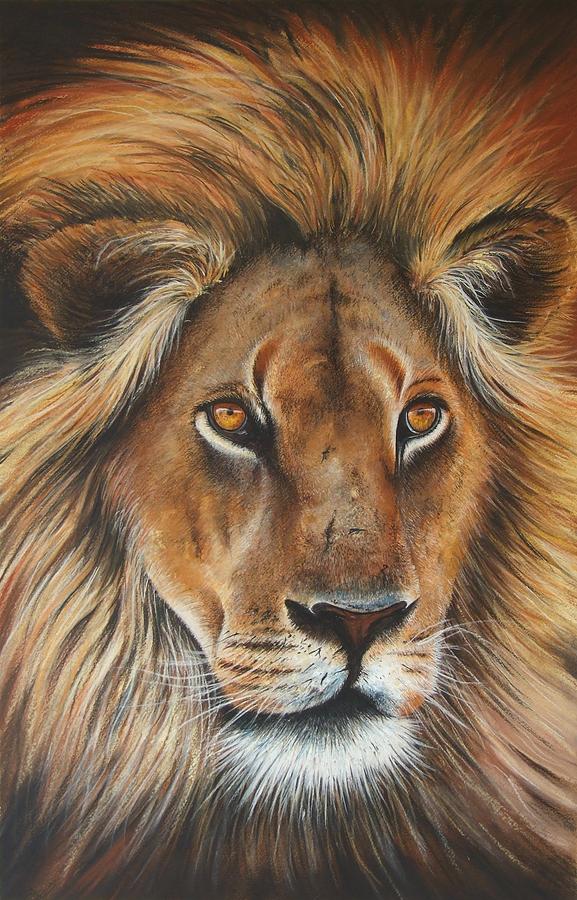 Wildlife Painting - Lion by Paul Dene Marlor