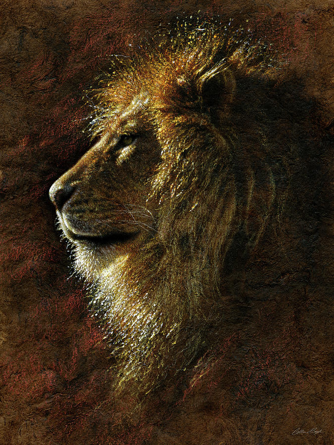 Lion Portrait - His Majesty Painting by Collin Bogle