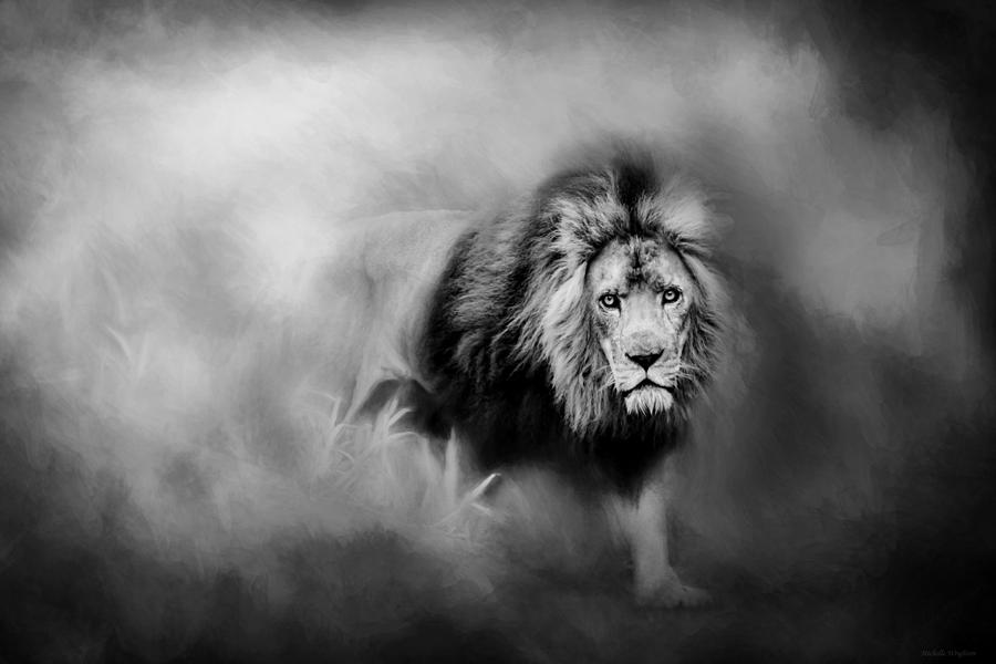 Lion - Pride Of Africa 3 - Tribute To Cecil in Black and White Photograph by Michelle Wrighton