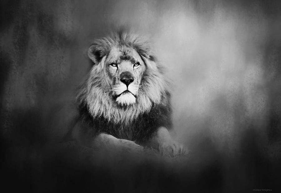 Lion - Pride Of Africa I - Tribute To Cecil in Black and White Photograph by Michelle Wrighton