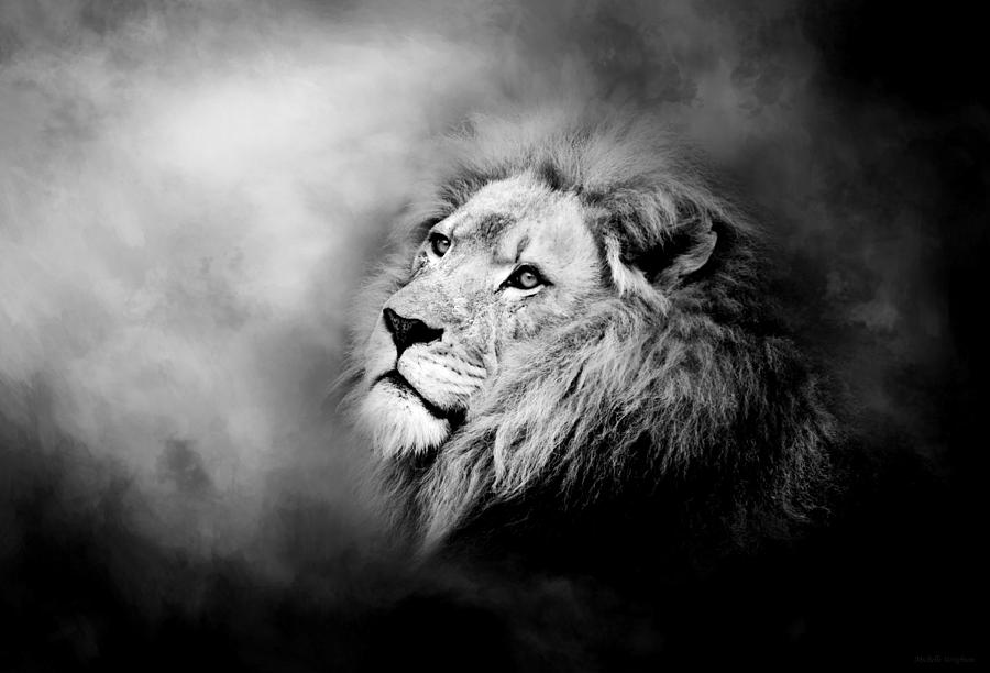 Lion - Pride Of Africa II - Tribute To Cecil in Black and White Photograph by Michelle Wrighton