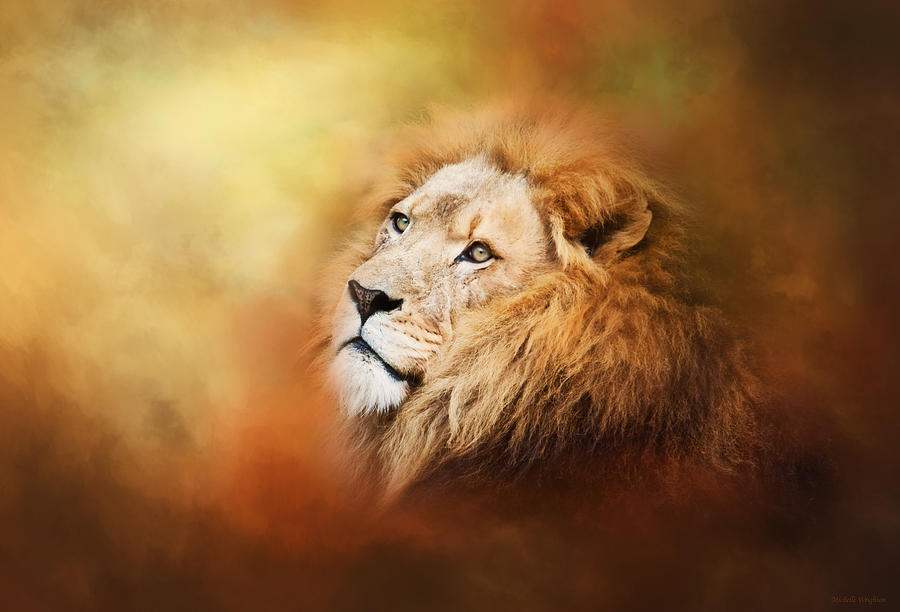 Lion Photograph - Lion - Pride of Africa II - Tribute to Cecil by Michelle Wrighton