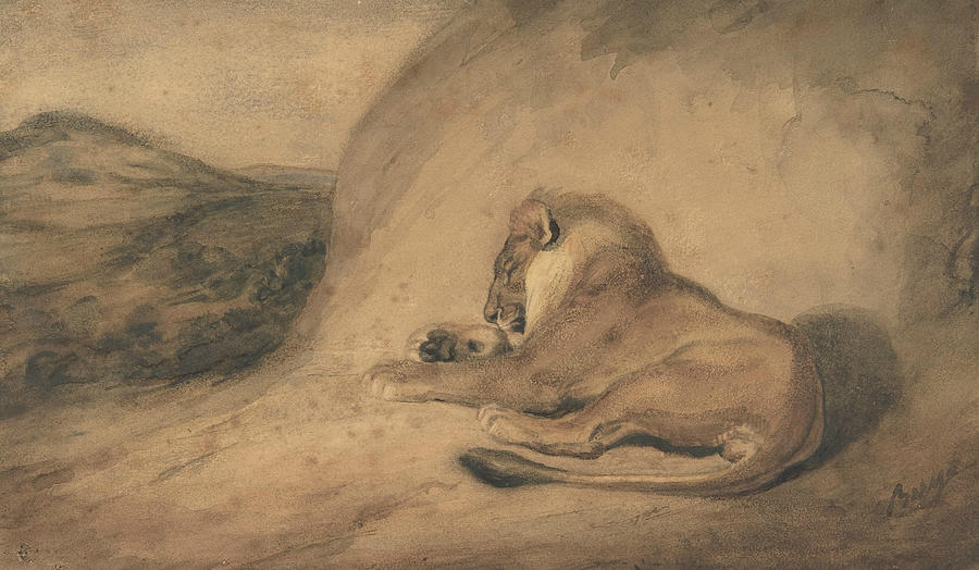 Lion Resting Drawing by Antoine-Louis Barye