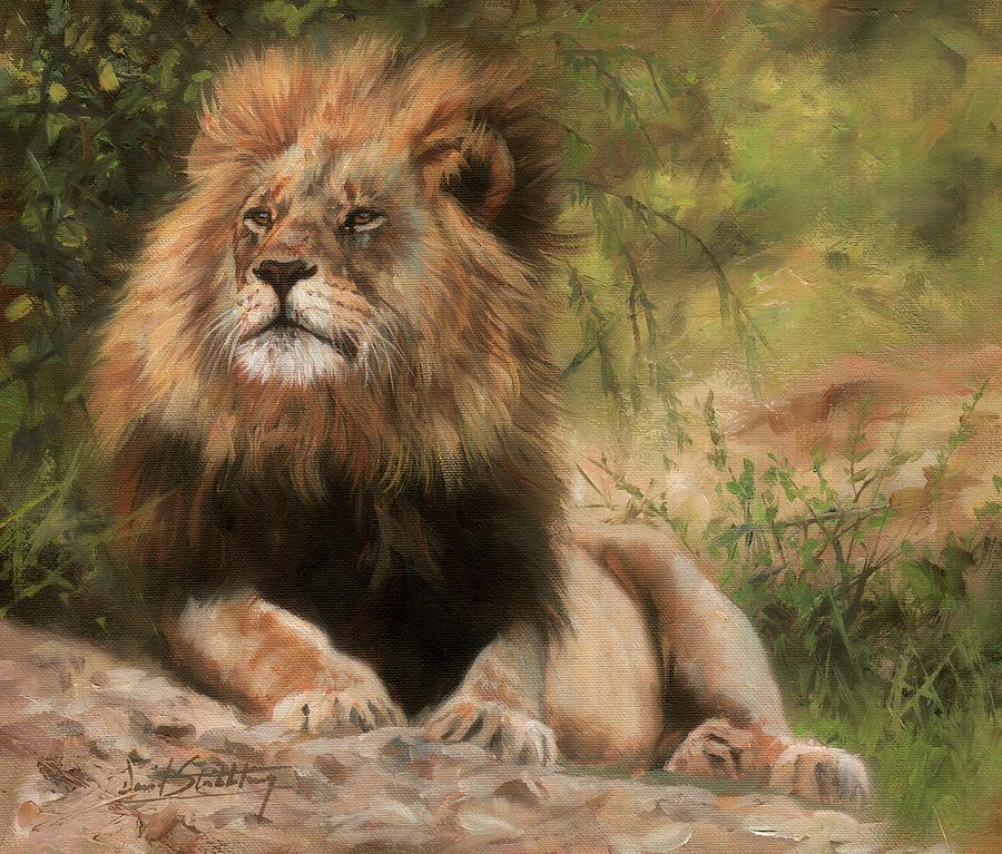 Lion Painting - Lion resting by David Stribbling
