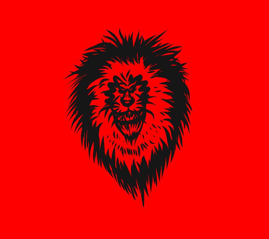 Lion Roar Drawing by Robert Watson