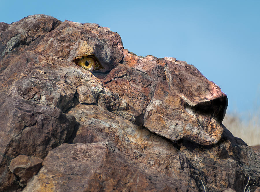 Lion Rock Digital Art by Rick Mosher