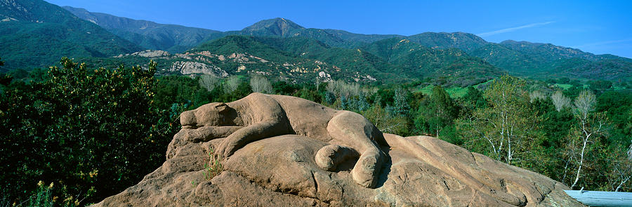 Animal Photograph - Lion Rock Sculpture, Center For Earth by Panoramic Images