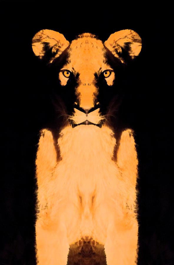 Cat Photograph - Lion Rorschach by Max Waugh