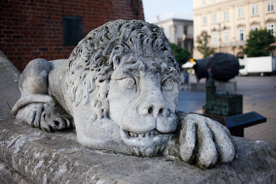 Lion Photograph - Lion Sculpture at Town Hall Tower in Krakow by Artur Bogacki
