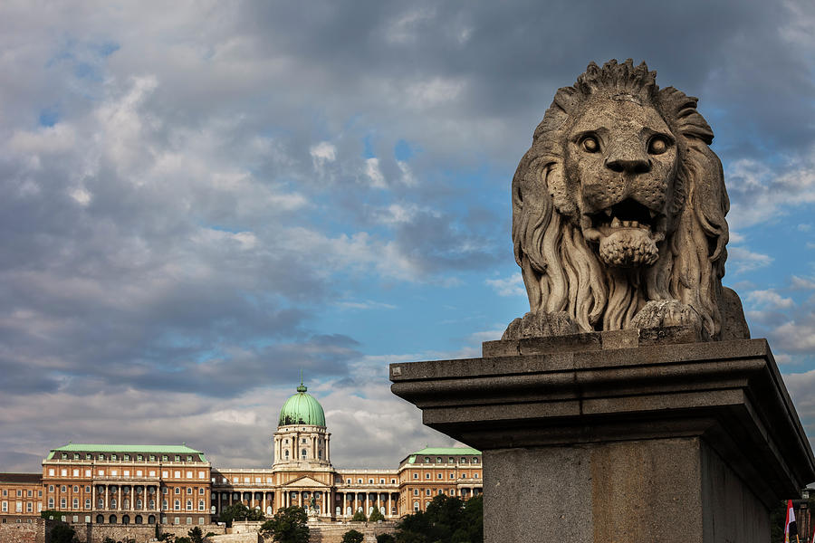 Castle Photograph - Lion Sculpture in Budapest by Artur Bogacki