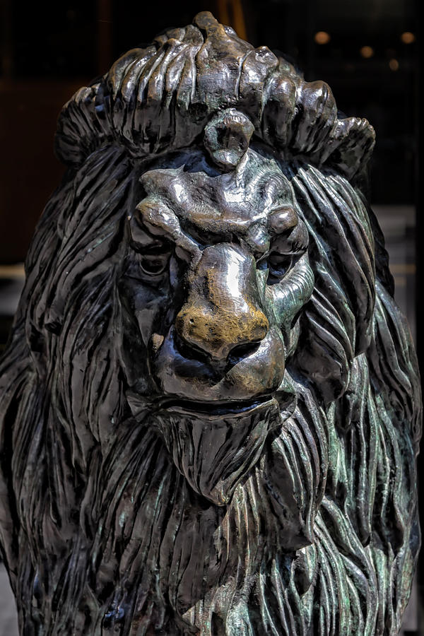 Lion Sculpture Photograph by Robert Ullmann