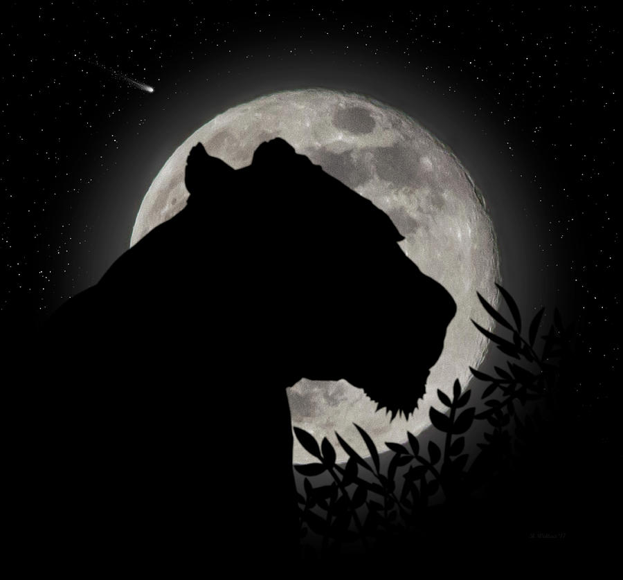 Lion Silhouette Digital Art by Brian Wallace