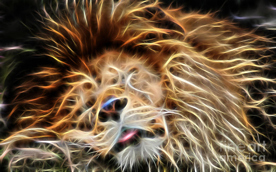 Lion Sleeps Tonight Mixed Media by Marvin Blaine