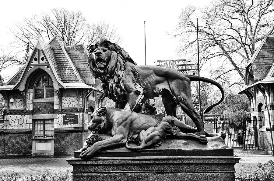 Lion Statue at the Philadelphia Zoo Photograph by Bill Cannon