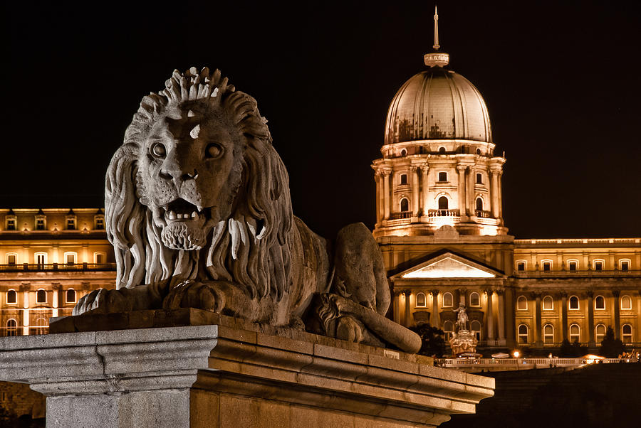 Lion Statue Guarding Budapest Castle In Hungary Photograph