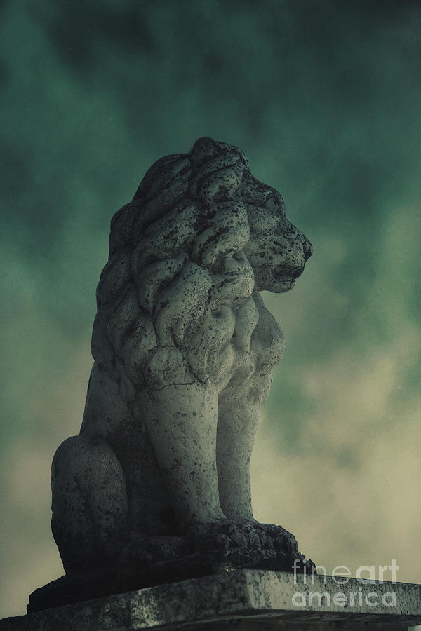 Lion statue Photograph by Mythja Photography | Fine Art America