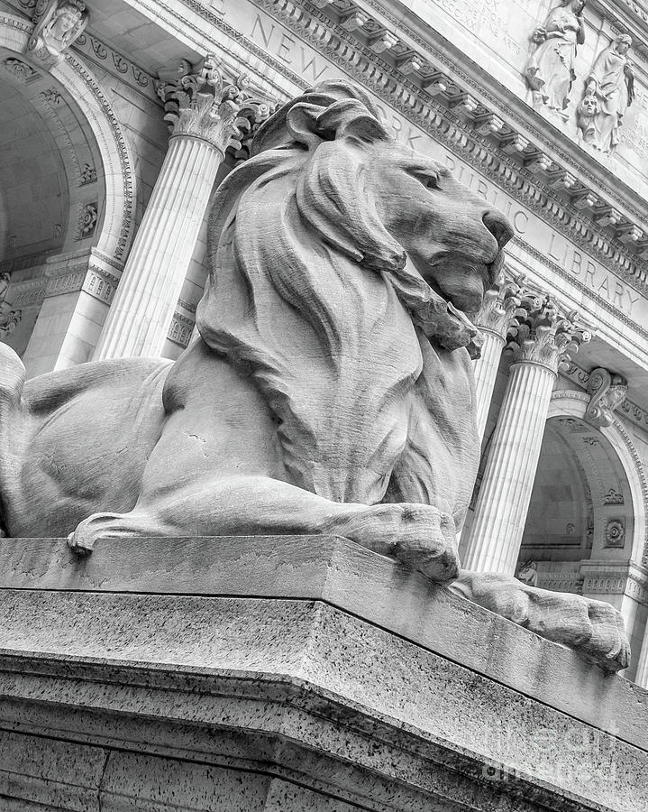 New York City Photograph - Lion Statue New York Public Library by Edward Fielding