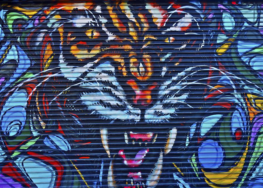 Lion Street Art Brooklyn Photograph