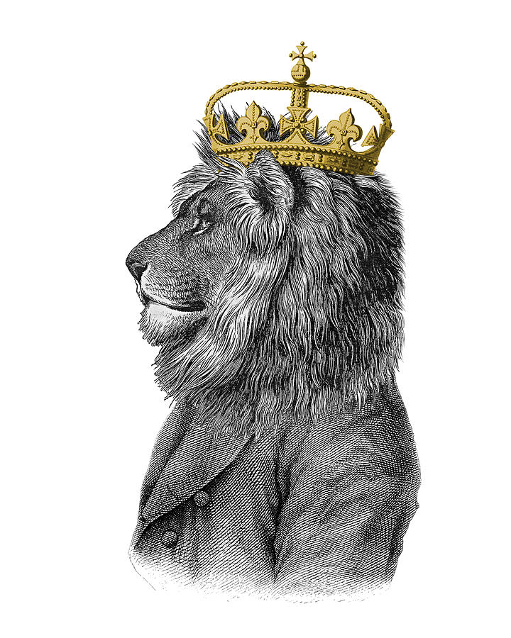 Lion Digital Art - Lion the King of the jungle by Madame Memento