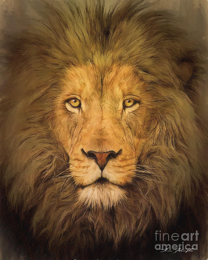 Lion Digital Art by Tim Wemple