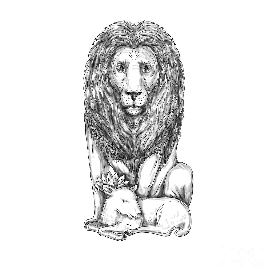Lion Tattoo Design Lion Tattoo Sketch Tattoo Flash for Woman, Instant  download PDF, JPG, PNG files 8,00 $ | Buy online with delivery