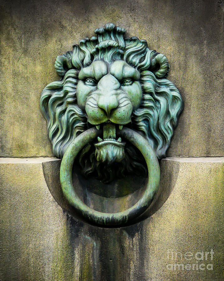 Lion With Ring 2 Photograph by Perry Webster