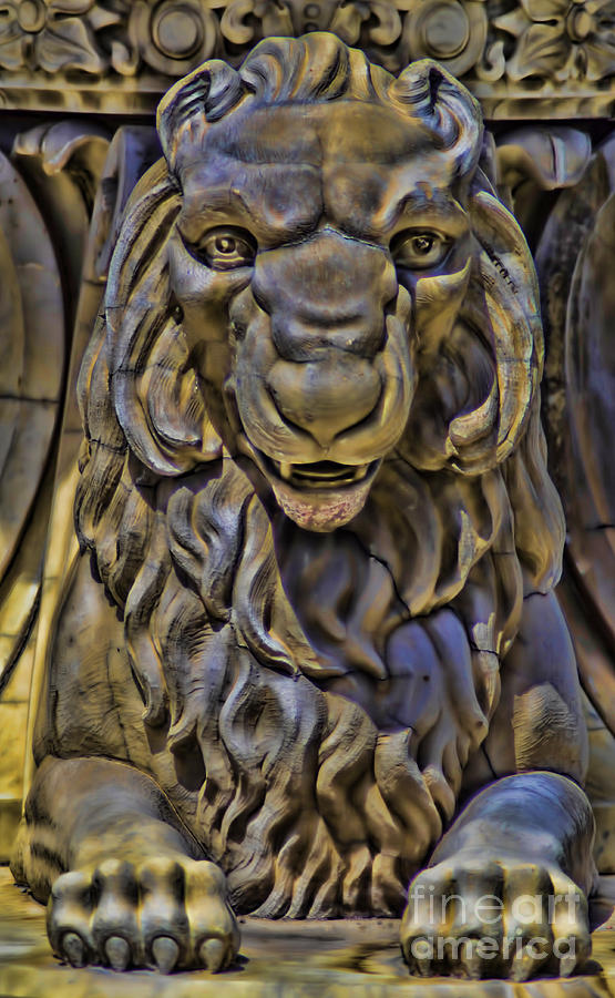 Lion Without A Roar Photograph by Steven Parker