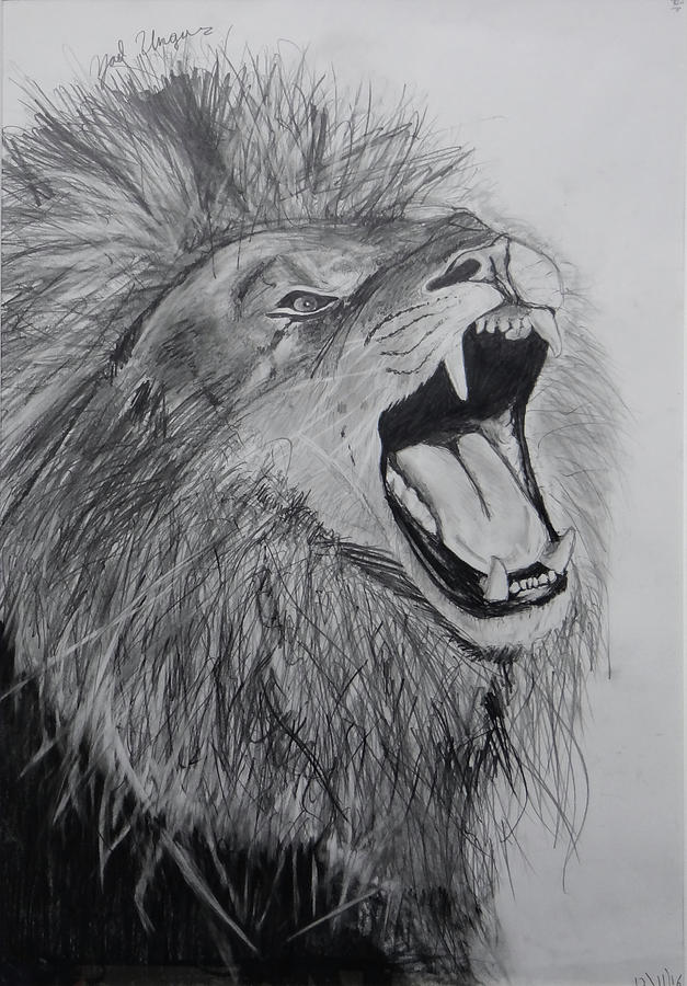 Lion Drawing by Yael Ungar