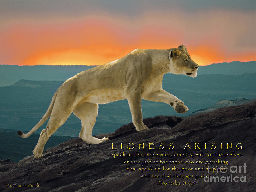 Lioness Arising Photograph by Constance Woods