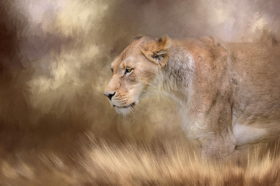 Lioness In Spring Photograph by Jai Johnson