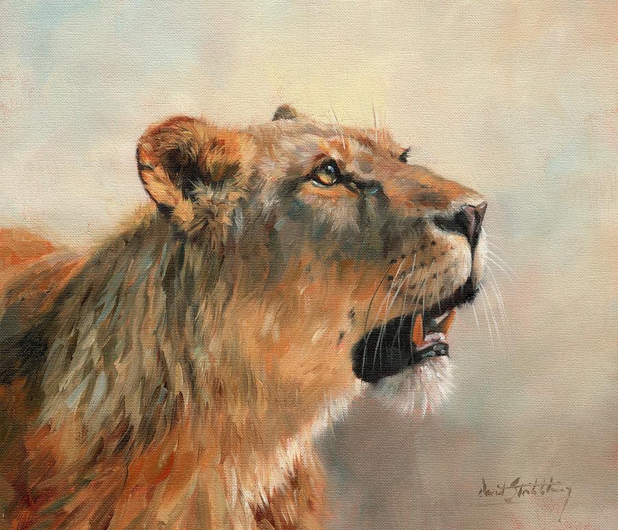 Lioness Portrait 2 Painting by David Stribbling