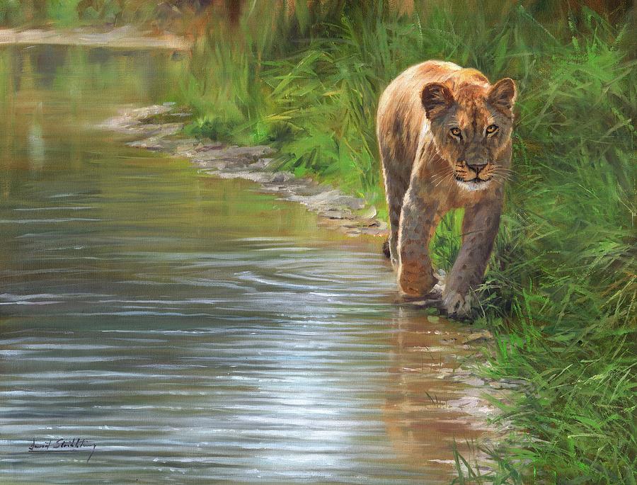 Lioness. Waters Edge Painting by David Stribbling