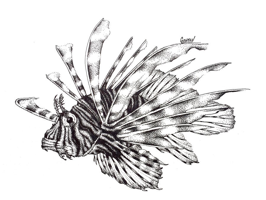 Lionfish Drawing by Greg Lowman