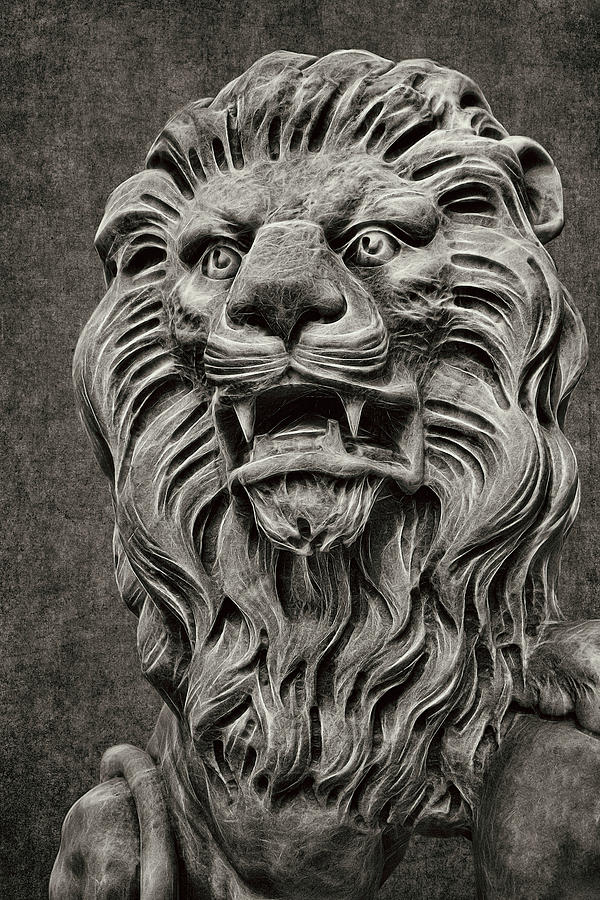 Lionized - Lion in Stone 2 Photograph by Mitch Spence
