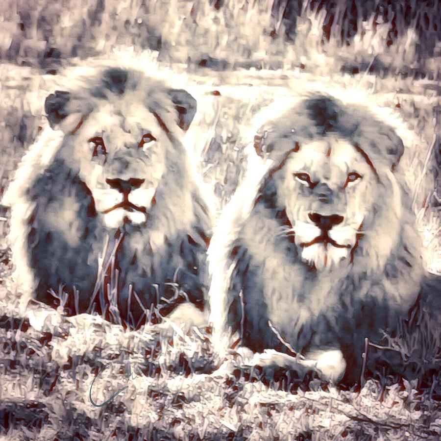 Lions Photograph by Gini Moore