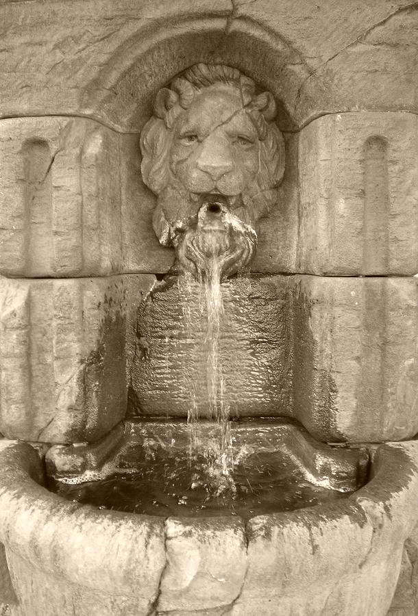 Lions Head Fountain Photograph by Herb Dickinson