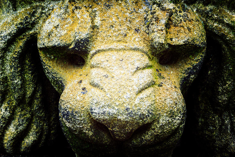 Nature Photograph - Lions head gargoyle by Robert Storost