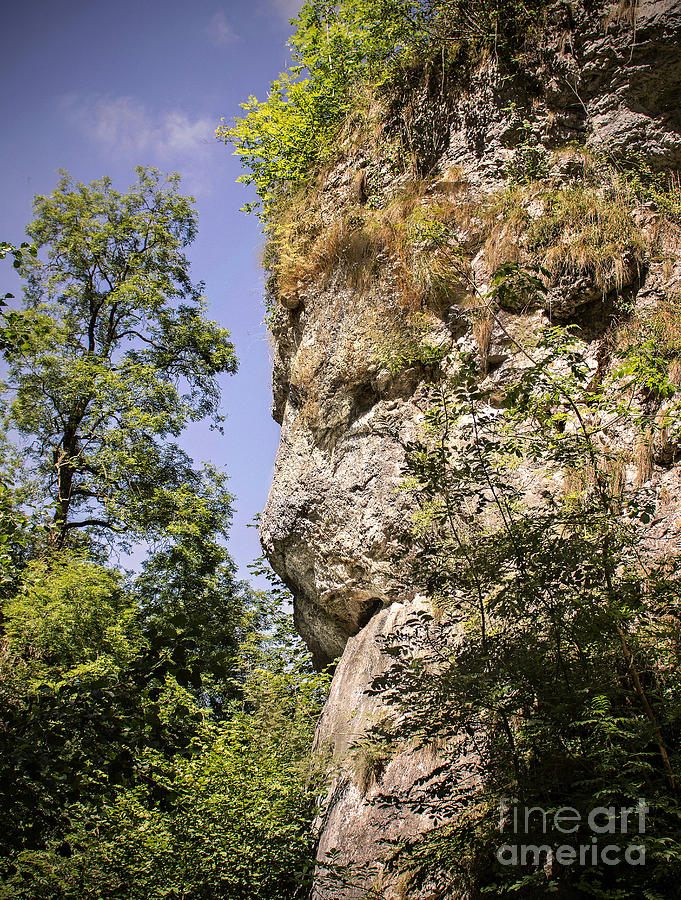 Lion's Head Rock Photograph by Nick Eagles Pixels