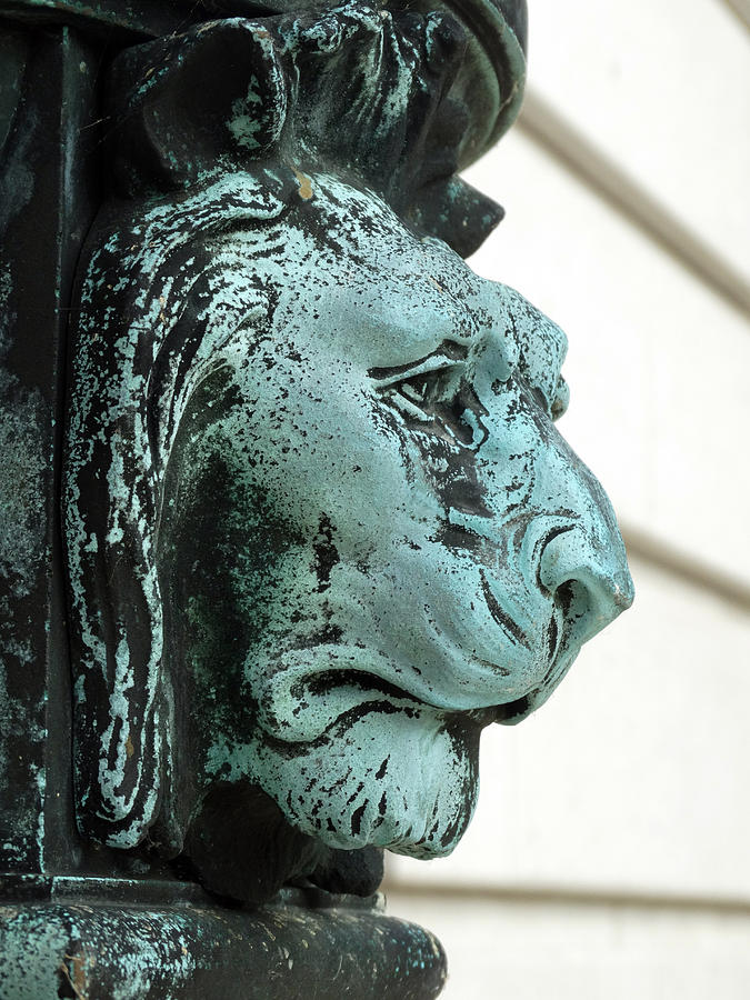 Madison Photograph - Lions Head Statue by David T Wilkinson