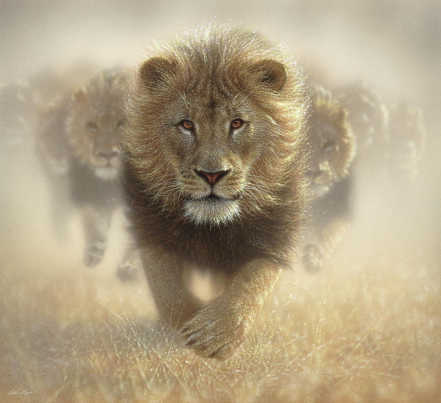 Lion Painting - Lions Running - Eat My Dust by Collin Bogle