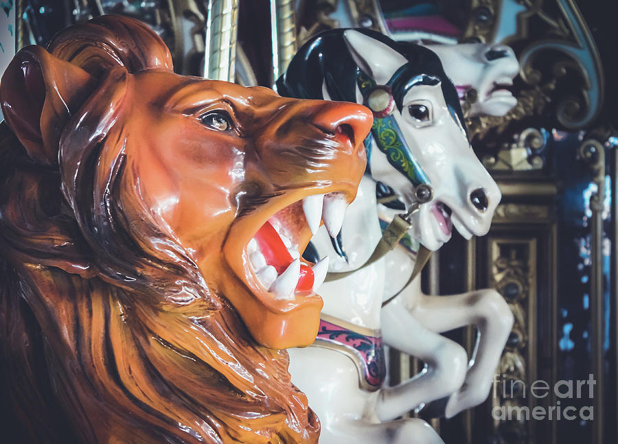 Lions Share - Carousel Photograph by Colleen Kammerer